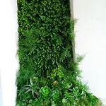 El Remanso Ii